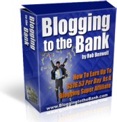 blogs generate revenue - step by step instructions