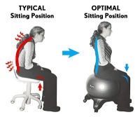 lower back pain relief - perfect posture chair